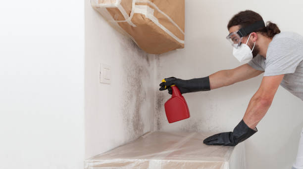Professional Black Mold Remediation technician working in Pleasant Hall, PA