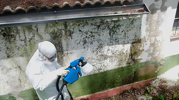 Top rated local Black Mold Remediation specialists in Pleasant Hall, PA